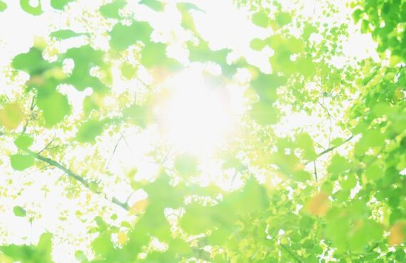 湘南エリア、空き家の屋根